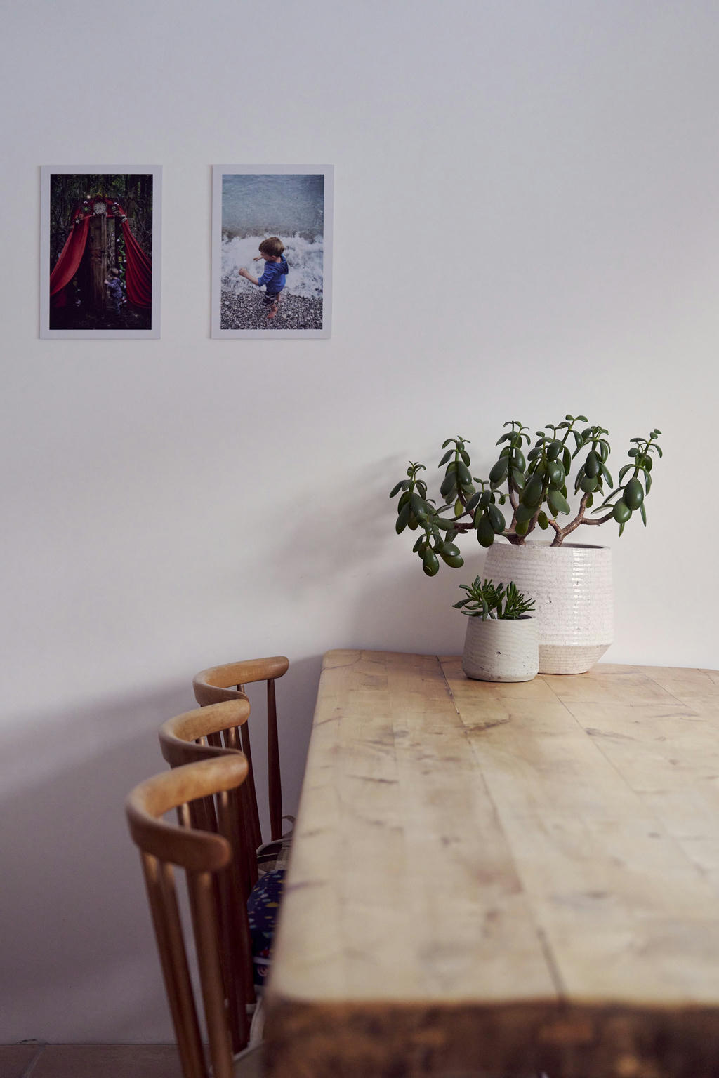 A table, three chairs, two photos on the wall and some plants